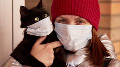 دراسة تؤكد انتقال كورونا من الإنسان إلى القطط الأليفة