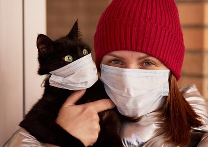 دراسة تؤكد انتقال كورونا من الإنسان إلى القطط الأليفة