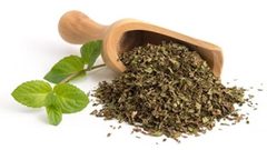 أهمية النعنع في علاج أمراض المفاصل والروماتيزم