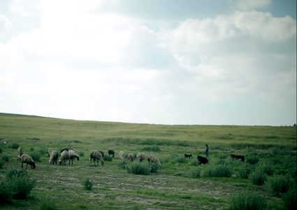 جولة أوروبية 14... الزراعة في غزة