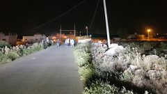 مستوطنون يهاجمون منازل المواطنين في قصرة جنوب نابلس