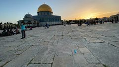 غروب شمس اليوم الإثنين من داخل ساحات المسجد الأقصى المبارك