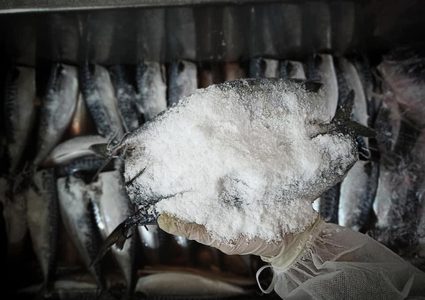 تجهيز سمك "الرنجا" المُدخن في مدينة رفح لتسويقها في عيد الفطر