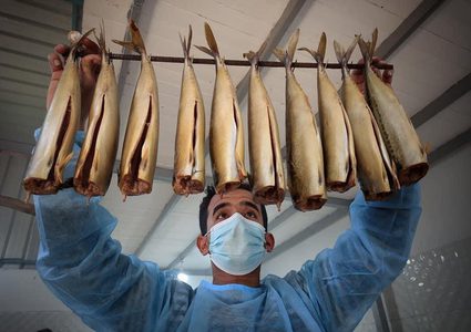 تجهيز سمك "الرنجا" المُدخن في مدينة رفح لتسويقها في عيد الفطر