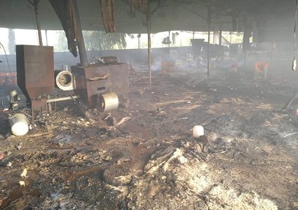 نفوق 10 آلاف صوص دجاج إثر حريق مزرعة في بلدة قباطية