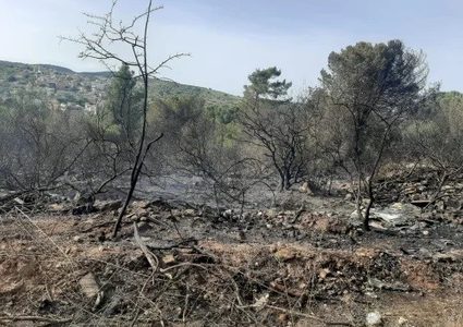 تحذير من إشعال النار إثر اندلاع حرائق في وادي عارة وام الفحم