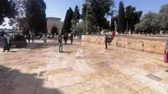 تهيئة وتنظيف ساحات المسجد الأقصى لاستقبال المصلين والمعتكفين