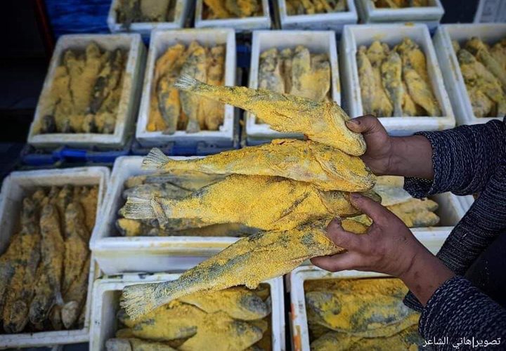الفسيخ المُملح الأصفر يُزين أسواق محافظة خان يونس جنوبي قطاع غزة، قبيل أيام من عيد الفطر المبارك