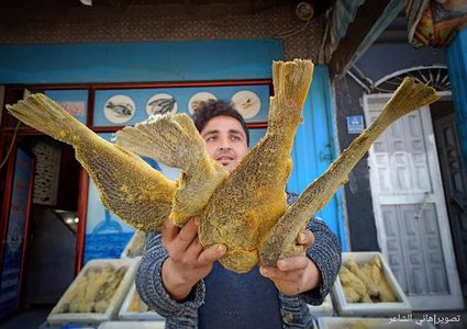 الفسيخ المُملح الأصفر يُزين أسواق محافظة خان يونس جنوبي قطاع غزة، قبيل أيام من عيد الفطر المبارك