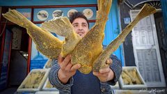 الفسيخ المُملح الأصفر يُزين أسواق محافظة خان يونس جنوبي قطاع غزة، قبيل أيام من عيد الفطر المبارك