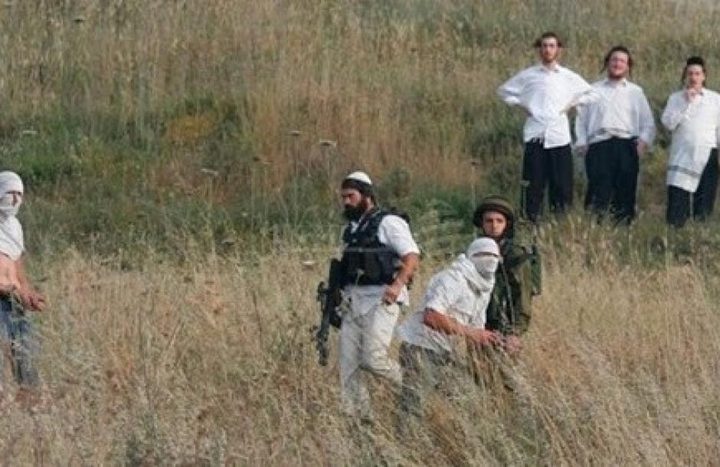 مستوطنون يطلقون النار صوب رعاة أغنام في مسافر يطا