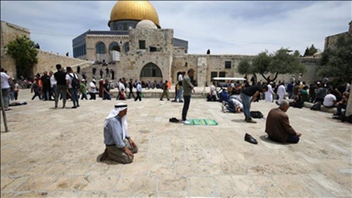 أكثر من 300 سياسي وأكاديمي مغربي يتضامنون مع المقدسيين