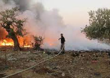 مستوطنون يحرقون الحقول الزراعية في بلدة جالود جنوب نابلس