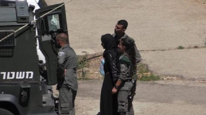 الاحتلال يعتقل أمّاً وثلاثة من أبنائها شمال أريحا