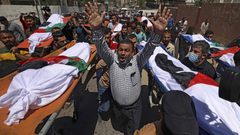 غزة: ارتفاع عدد الشهداء إلى 248 بينهم 66 طفلًا و 39 سيدة و 17 مسن