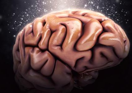 هل تؤدي مشاهدة التلفاز إلى تقليص الدماغ ؟