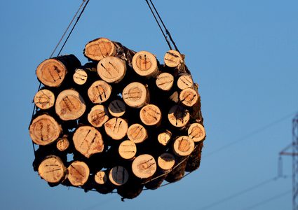 الحكومة الروسية تفرض رسوما على بعض صادرات الخشب