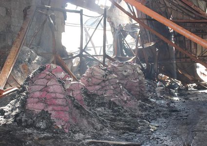 زراعة غزة تحذر من كارثة كبيرة وتناشد بإنقاذ الحيوانات