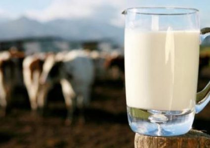 دراسة جديدة حول علاقة الألبان بمستوى الكوليسترول