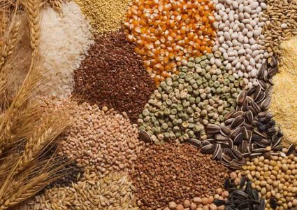 ما هي الحبوب الضرورية للحصول على أمعاء صحية ؟