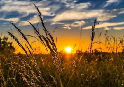 الطقس: ارتفاع طفيف على درجات الحرارة