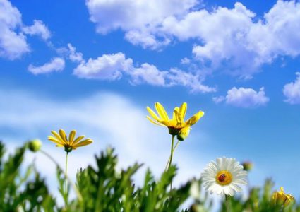 الطقس: انخفاض ملموس على درجات الحرارة لتصبح حول معدلها