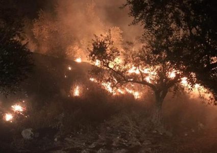 مستوطنون يضرمون النار بمحاصيل زراعية شرق يطا