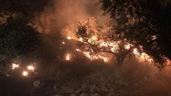 مستوطنون يضرمون النار بمحاصيل زراعية شرق يطا