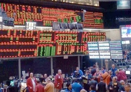 فاو: مؤشر أسعار الغذاء يصعد في مايو لأعلى مستوى منذ 2011