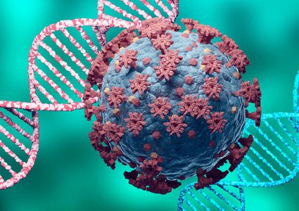 وفاة و٢٧٣ إصابة جديدة في غزة