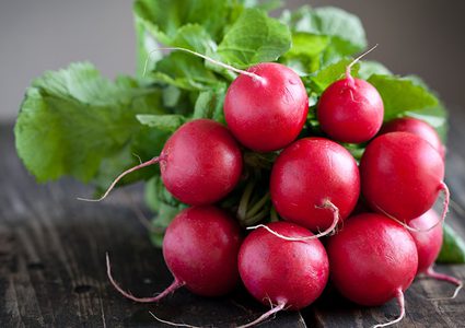 من هي الفئات التي عليها الامتناع عن تناول الفجل ؟