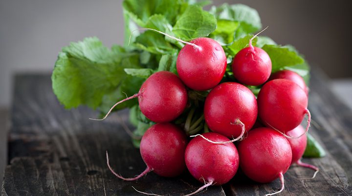 من هي الفئات التي عليها الامتناع عن تناول الفجل ؟