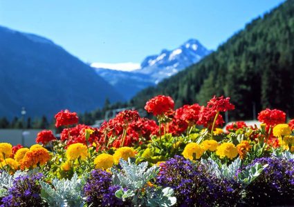 الطقس: أجواء صافية وارتفاع طفيف على درجات الحرارة