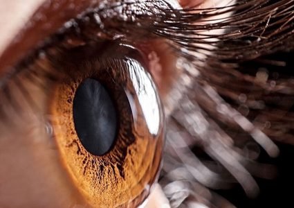 هل يكشف حجم بؤبؤ العين عن معدل ذكاء الفرد ؟