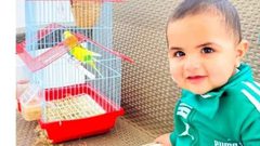 النقب: مصرع رضيع في رهط