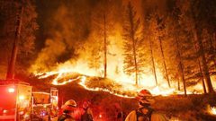 اندلاع حريقين كبيرين غرب القدس