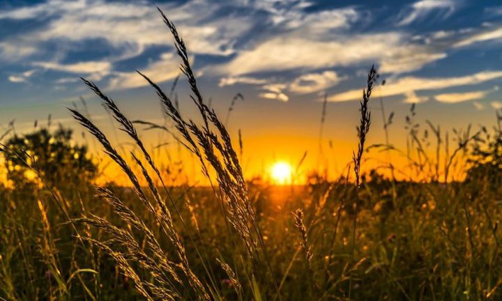 الطقس: أجواء صافية والحرارة أعلى من معدلها العام