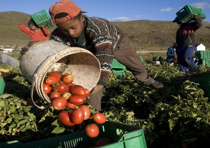 ارتفاع عمالة الأطفال في العالم إلى 160 مليونا لأول مرة منذ عقدين