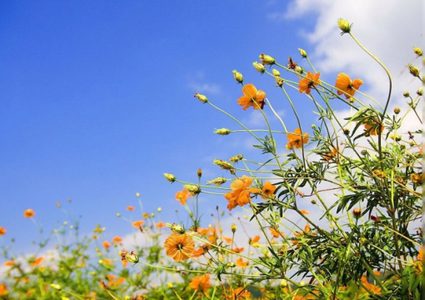 الطقس: أجواء صافية معتدلة ويطرأ انخفاض على درجات الحرارة