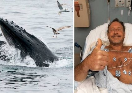 صياد أمريكي ينجو بأعجوبة من فم حوت ابتلعه 30 ثانية