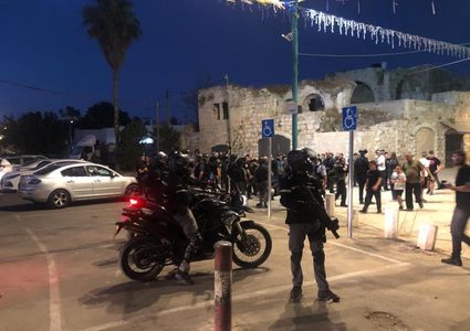 شرطة الاحتلال تقمع مسيرة سلمية في اللد