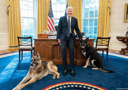بايدن ينعى كلبه عن عمر 13 عاما