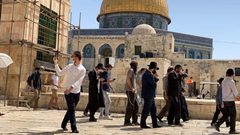 مستوطنون يقتحمون "الأقصى"