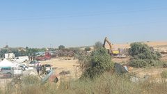 الاحتلال يقتلع أشجار زيتون ويهدم معرشا في رهط