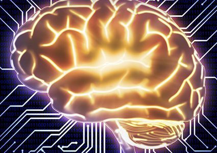 ما هي الفيتامينات التي تعيد تفعيل معالج الدماغ ؟