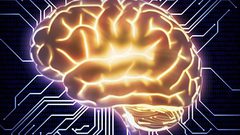 ما هي الفيتامينات التي تعيد تفعيل معالج الدماغ ؟