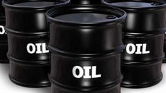 ارتفاع أسعار الذهب الأسود مع تراجع المخزونات الأمريكية