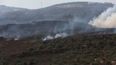 مستوطنون يحرقون أشتال التين والزيتون غرب سلفيت