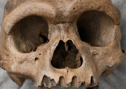 جمجمة "رجل التنين" تعيد صياغة مفهوم بداية البشرية على الأرض