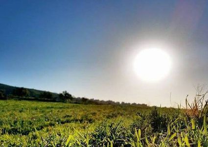 الطقس: ارتفاع على درجات الحرارة لتصبح أعلى من معدلها السنوي